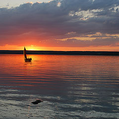 photo "Summer evening"