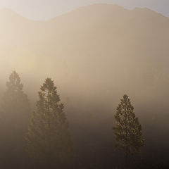 photo "Sunrise in the mist"