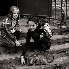 фото "Накормить кошку (2003)"