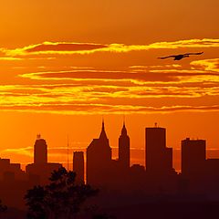 photo "Sunset from Jamaca Bay, NYC"