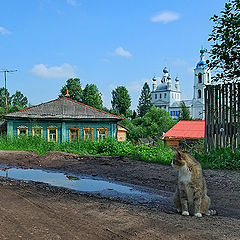 фото "После летнего дождя."