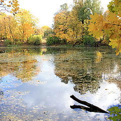 фото "Осеннее"