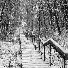 фото "лестница в зиму"