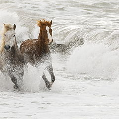 фото "Рожденные морем"