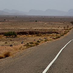 photo "Road to the south"