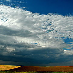 photo "storm is coming..."