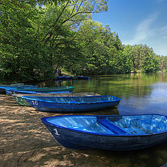 photo "summer boat"