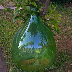 photo "Italian Still Life"