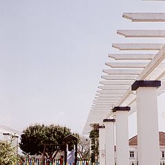 фото "pergola"