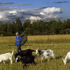 фото "Время пасти коз (2007)"