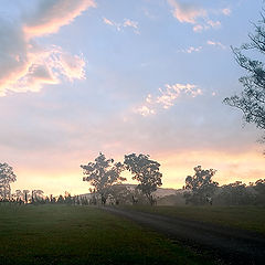 photo "Fazenda"