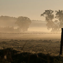 photo "fog"