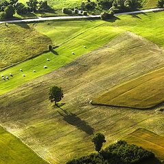 photo "Colour field"