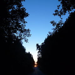 photo "night path"