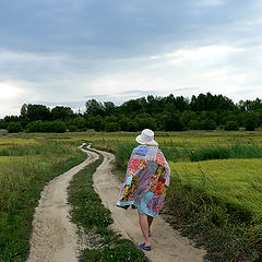 photo "on the road"