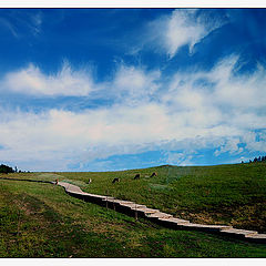 photo "XINJIANG-impression-2"