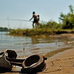 фото "Плохосочетающиеся вещи..."