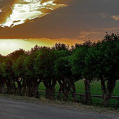 фотоальбом "КАЛЕЙДОСКОП"