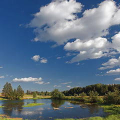 фото "У летнего озера"