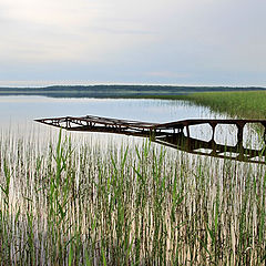 фото "На озере"