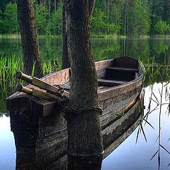 фото "замереть"