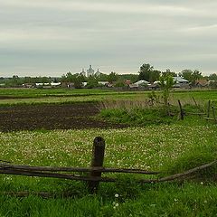 фото "поля за деревнеи"