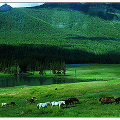 photo "XINJIANG-impression-4"