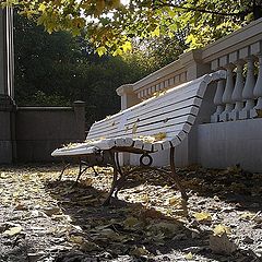 photo "осень,парк,природа,скамья,листва"