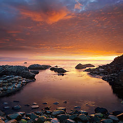 photo "Giant's Causeway"