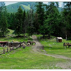 photo "XINJIANG-impression-6"