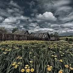 фото "Майский день"