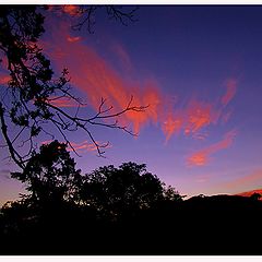 photo "Sky in the fire"