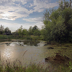 photo "Path near the pool"