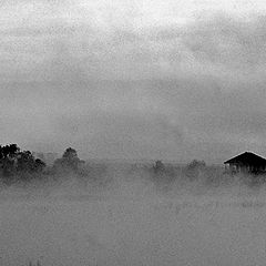photo "The morning mist"