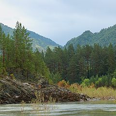 photo "Altay's nature"