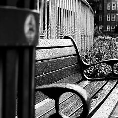 photo "The Bench"