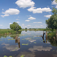 фото "Полдень"