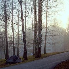 фото "ранннее утро осени"