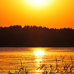 photo "Beutiful sunset"