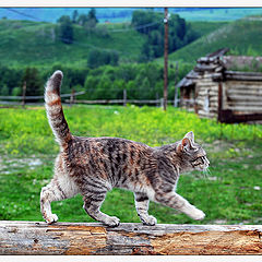 фото "XINJIANG-impression-8"