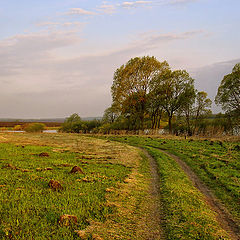 photo "... Morning's road ..."