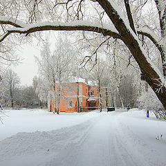 фото "Глоток морозного воздуха"