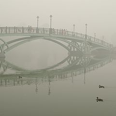 фото "Ажурность и дым."