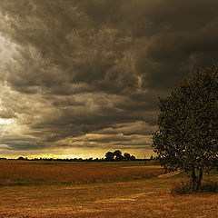 photo "Stormy"