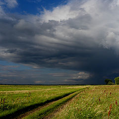 photo "Evening rains"