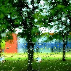 фото "rain on the window"