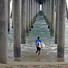 photo "The Surfer"