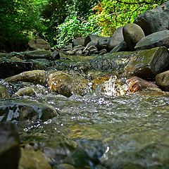 photo "Forest Creek Georgia"