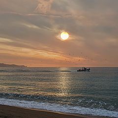 photo "the morning fishing"