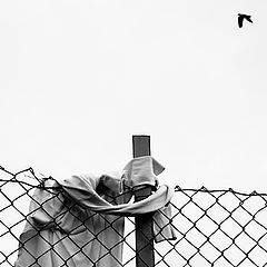 photo "Shirt on Fence, Norway 2007"